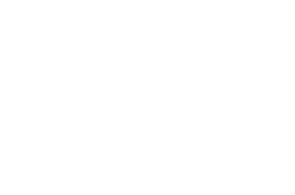 Small Town Wellness